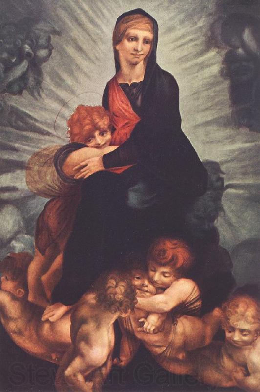 Rosso Fiorentino Madonna and Child with Putti